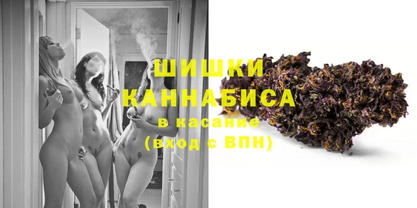 сатива Новодвинск