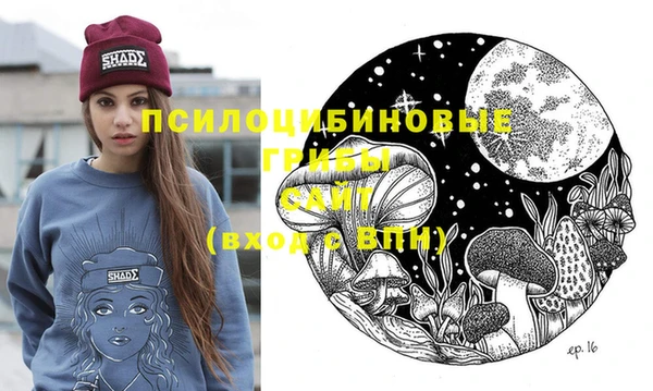 сатива Новодвинск