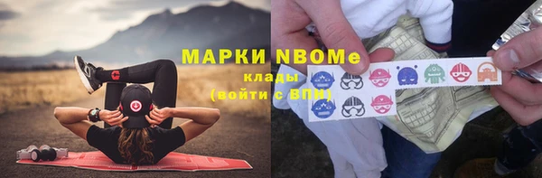 сатива Новодвинск