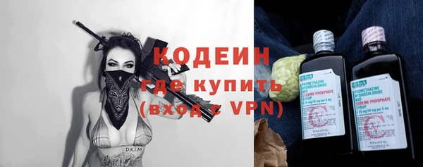 сатива Новодвинск