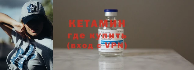 сатива Новодвинск