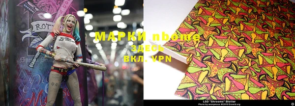 сатива Новодвинск