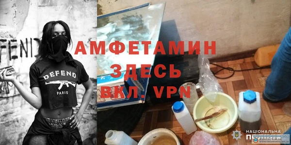 сатива Новодвинск