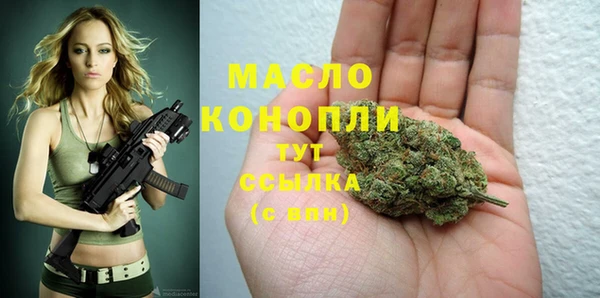 сатива Новодвинск