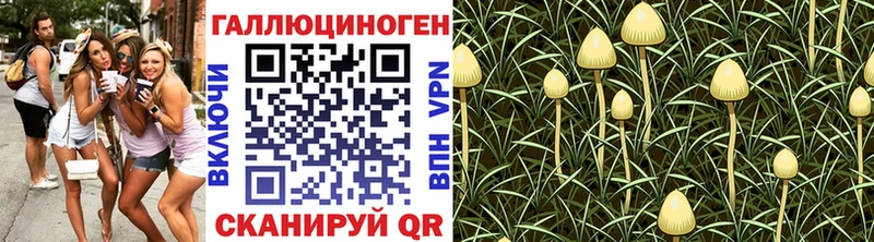 ссылка на мегу ТОР  Ангарск  Галлюциногенные грибы Magic Shrooms  цены  