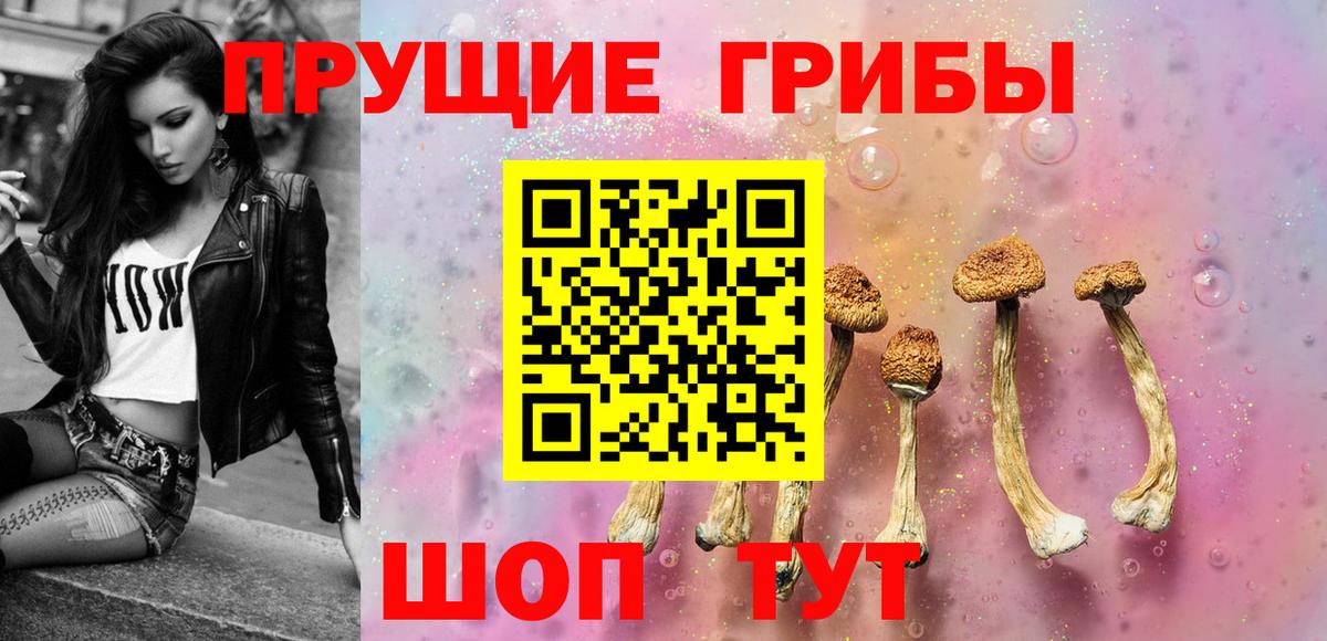 Псилоцибиновые грибы Psilocybine cubensis Ангарск